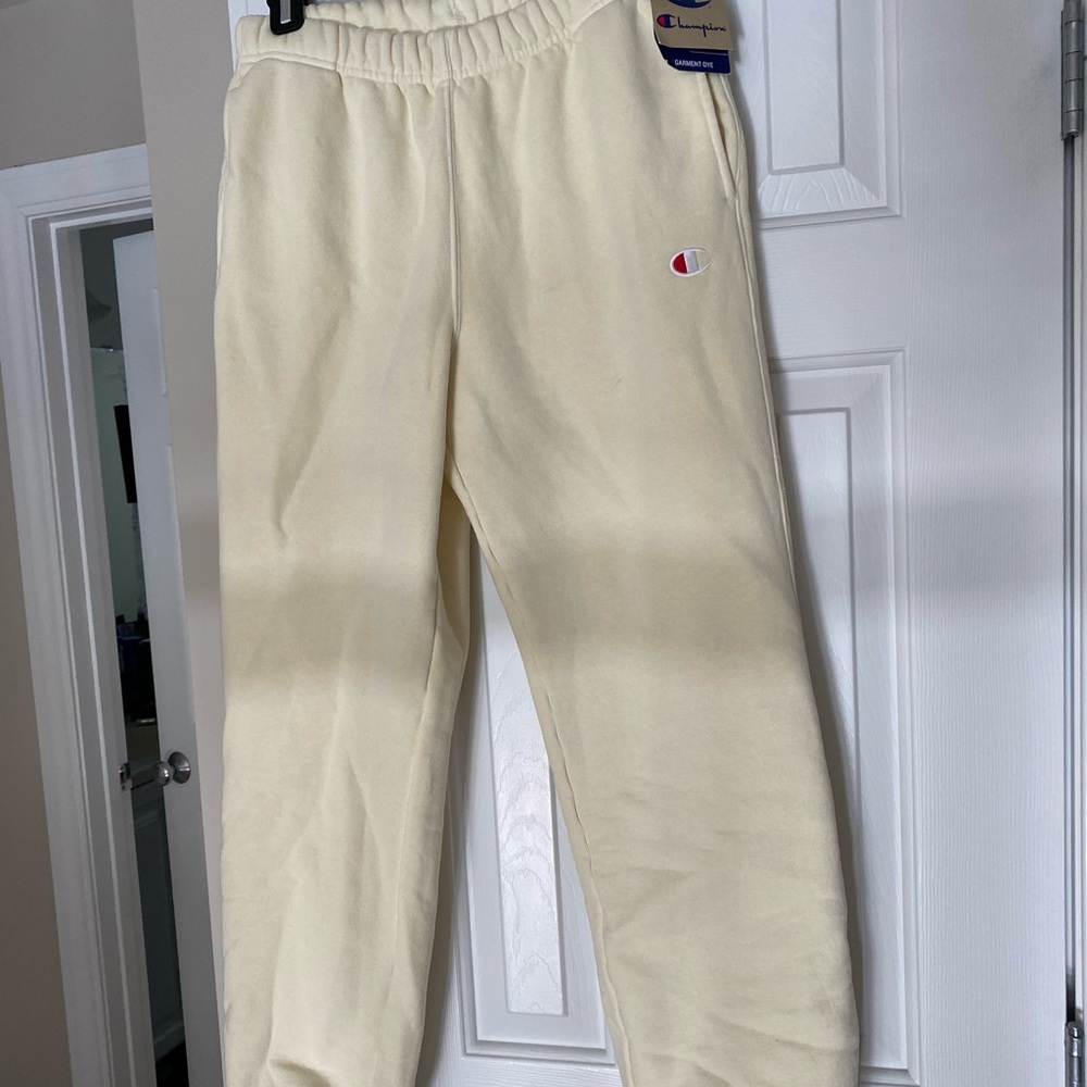 Urban Outfitters x Champion sweatpants
